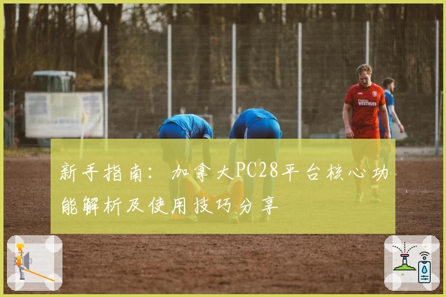 新手指南：加拿大PC28平台核心功能解析及使用技巧分享