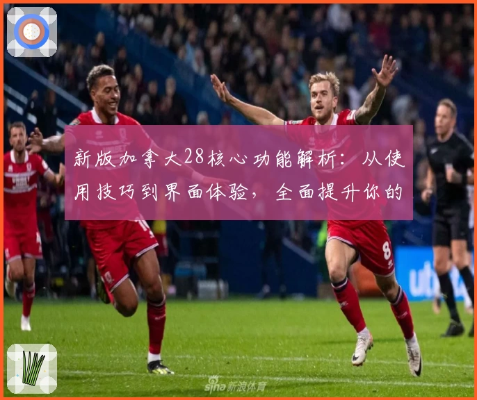 新版加拿大28核心功能解析：从使用技巧到界面体验，全面提升你的参与感