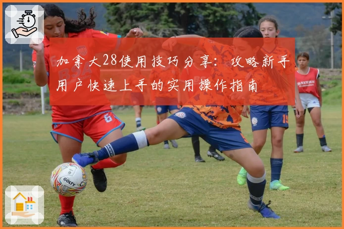 加拿大28使用技巧分享：攻略新手用户快速上手的实用操作指南