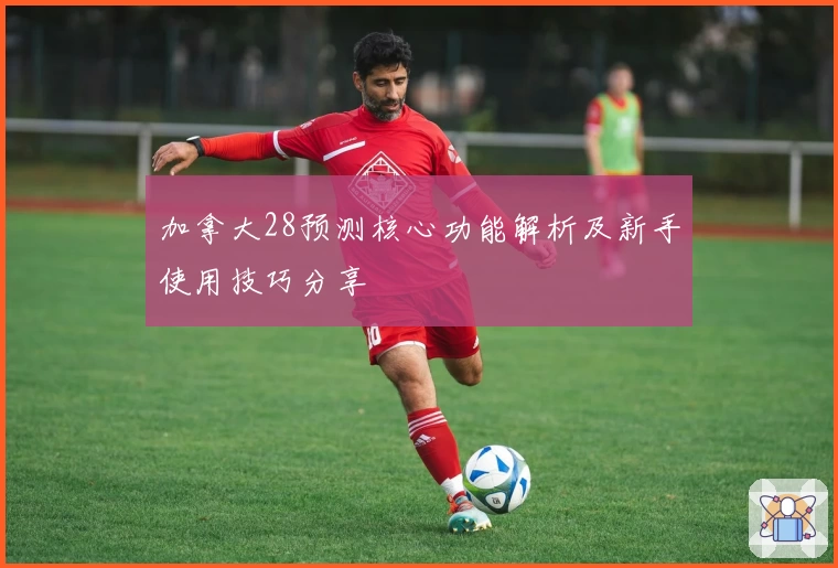 加拿大28预测核心功能解析及新手使用技巧分享