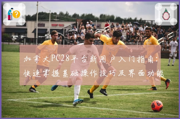 加拿大PC28平台新用户入门指南：快速掌握基础操作技巧及界面功能解析