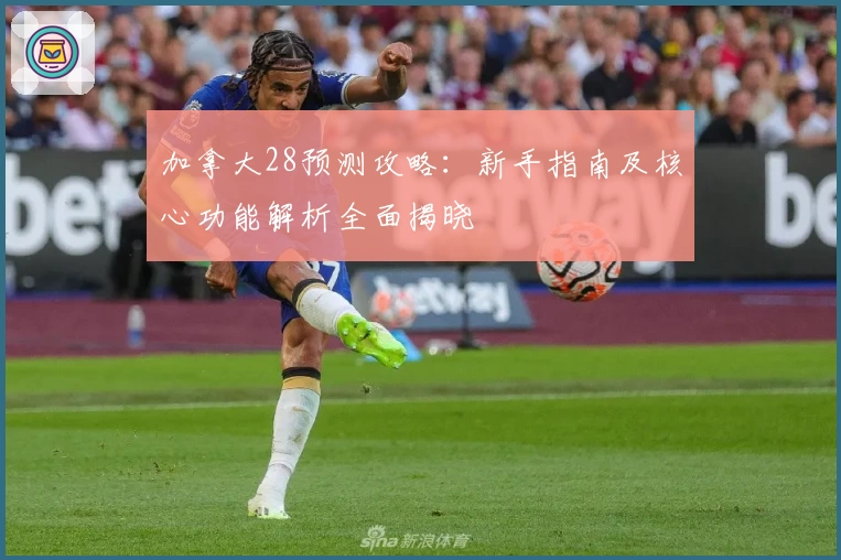 加拿大28预测攻略：新手指南及核心功能解析全面揭晓