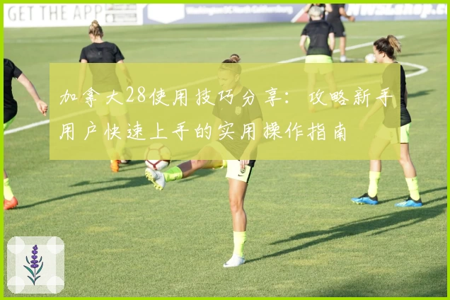 加拿大28使用技巧分享：攻略新手用户快速上手的实用操作指南