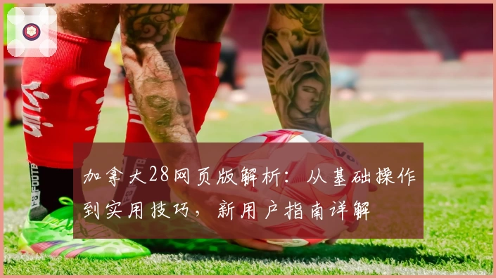 加拿大28网页版解析：从基础操作到实用技巧，新用户指南详解