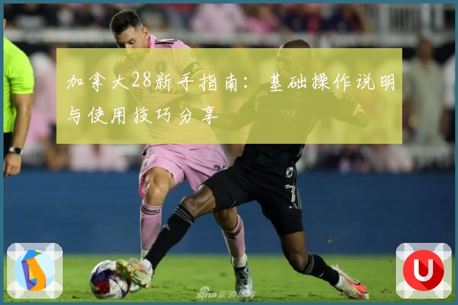 加拿大28新手指南：基础操作说明与使用技巧分享