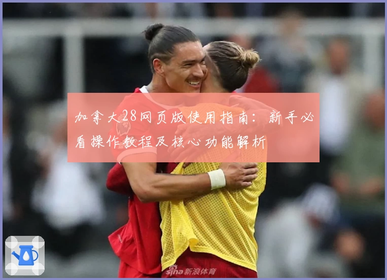 加拿大28网页版使用指南：新手必看操作教程及核心功能解析