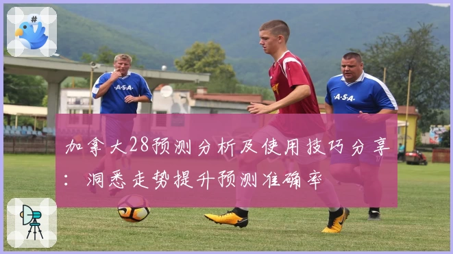 加拿大28预测分析及使用技巧分享：洞悉走势提升预测准确率