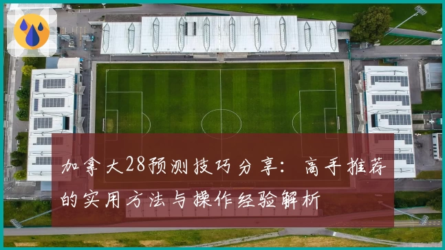 加拿大28预测技巧分享：高手推荐的实用方法与操作经验解析