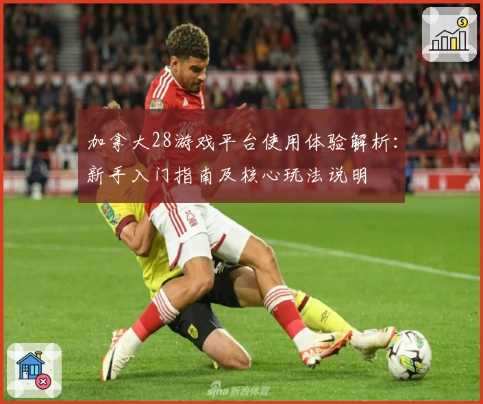加拿大28游戏平台使用体验解析：新手入门指南及核心玩法说明
