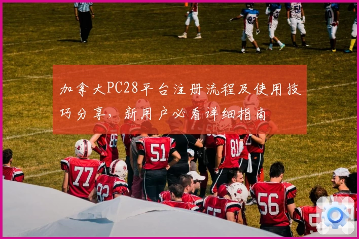 加拿大PC28平台注册流程及使用技巧分享，新用户必看详细指南